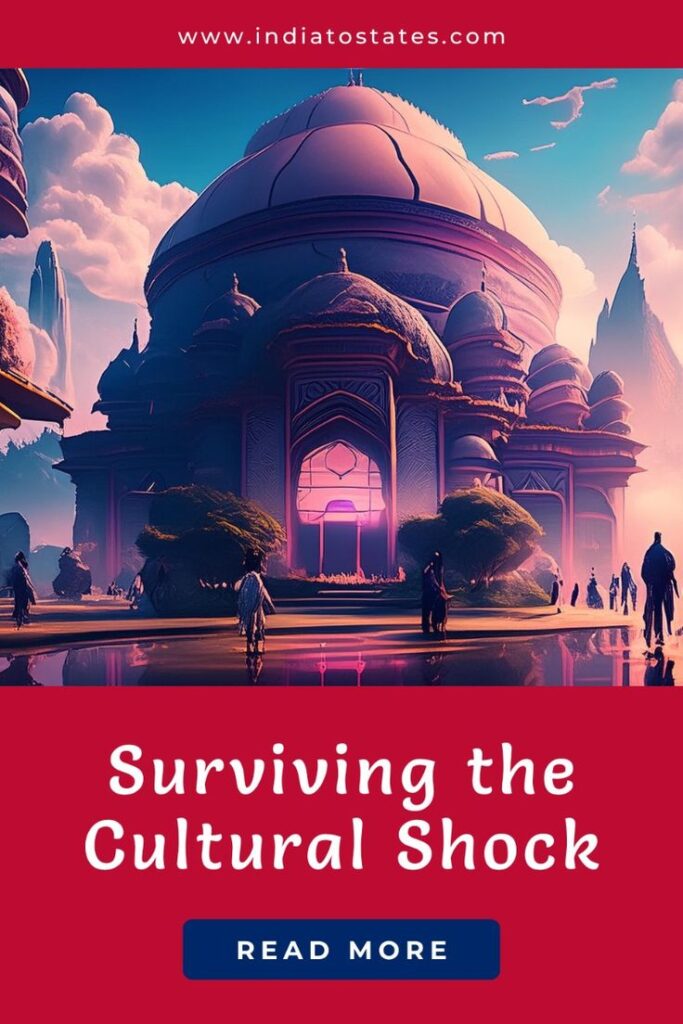 cultural shock pin || India To States